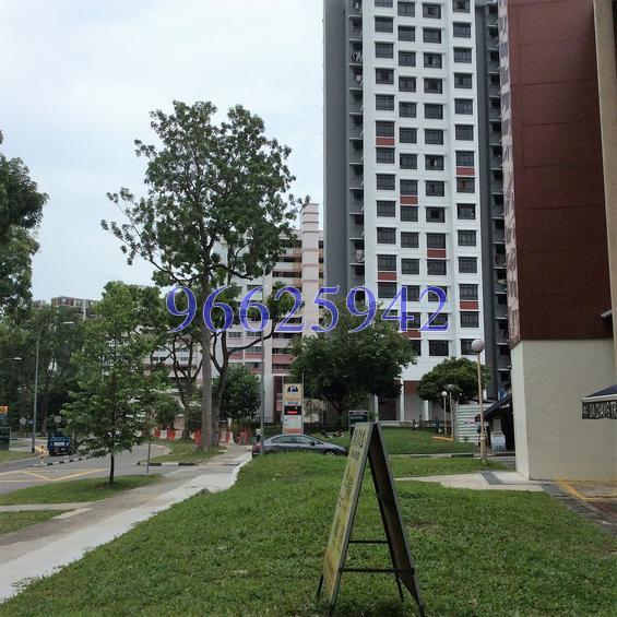 Jurong West Street 41 (D22), Shop House #130824272
